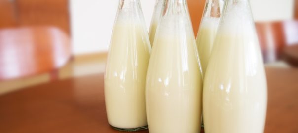Joghurt wurde genutzt um Milch länger haltbar zu machen (Bild:Pixabay/falovelykids)