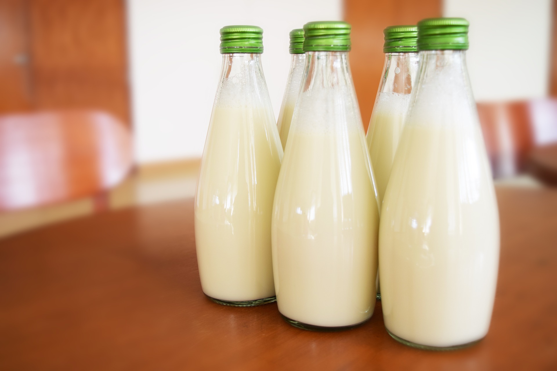 Joghurt wurde genutzt um Milch länger haltbar zu machen (Bild:Pixabay/falovelykids)